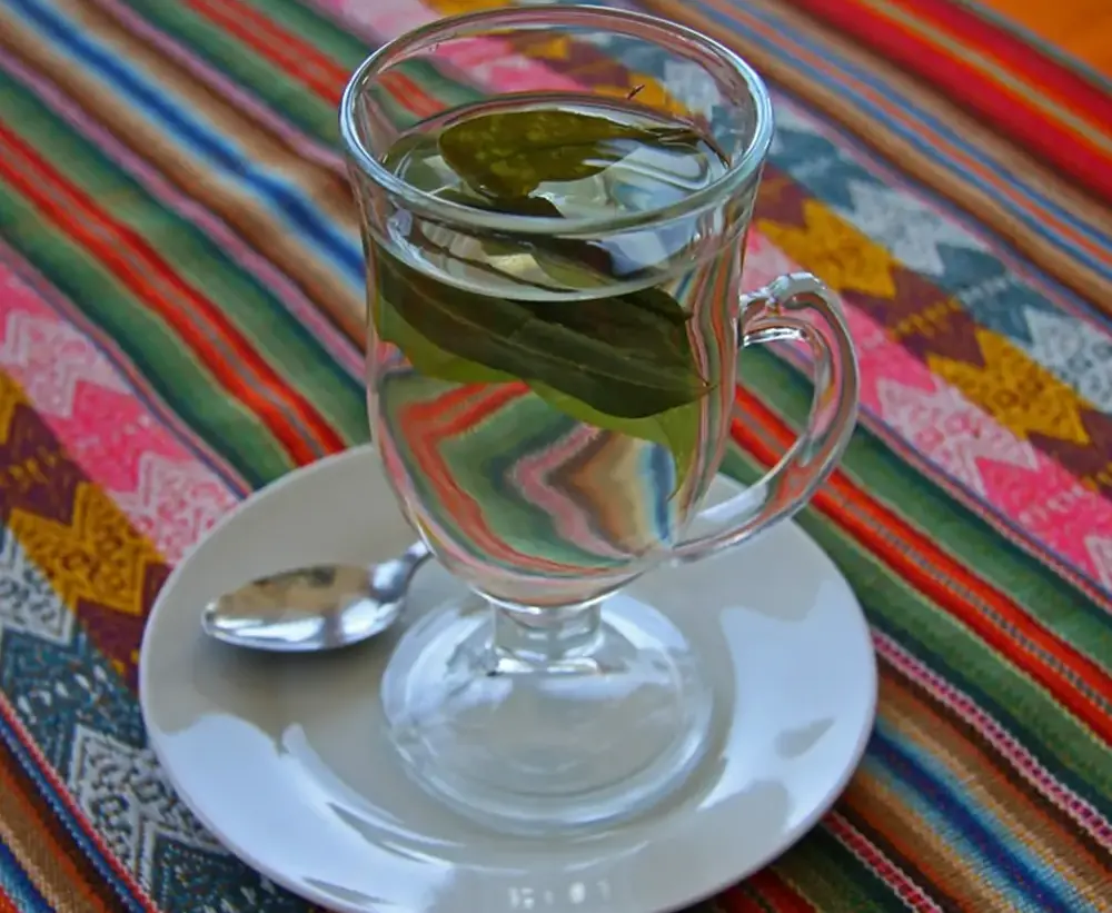 Mate-de-coca-terres-des-incas.webp