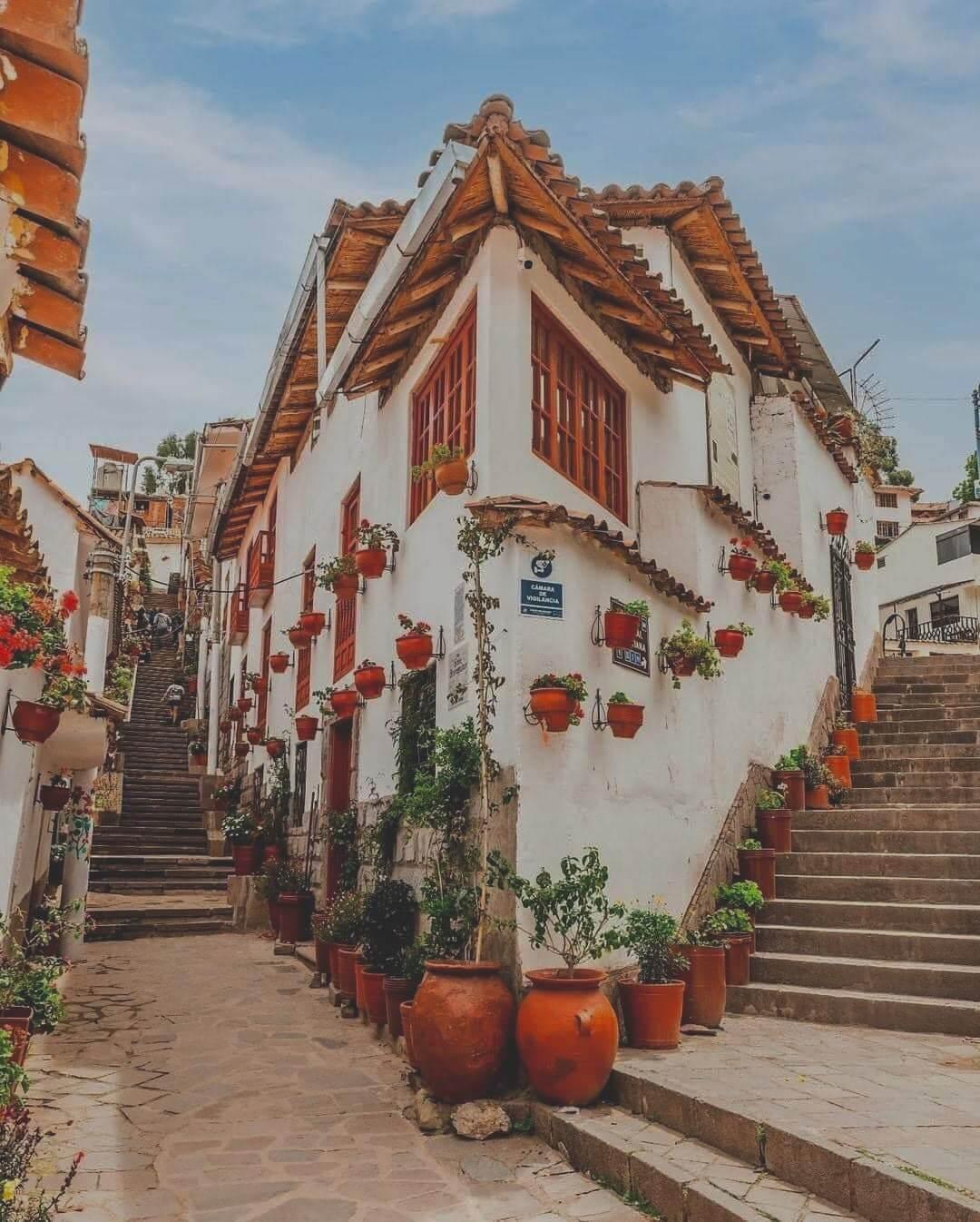 calle 7 borreguitos.jpg