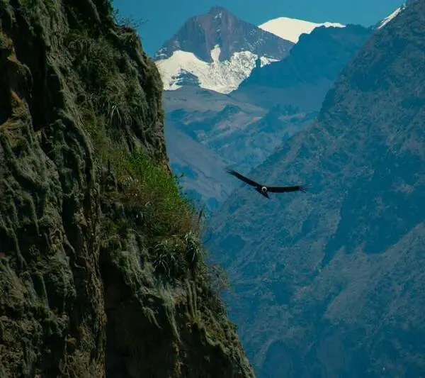 Aguas Calientes Mapi