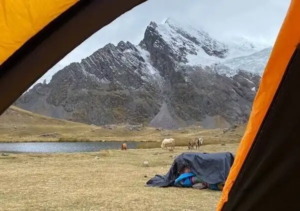 Alimentacion en el Ausangate