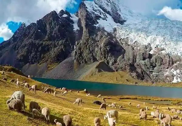 Alimentacion en el Ausangate