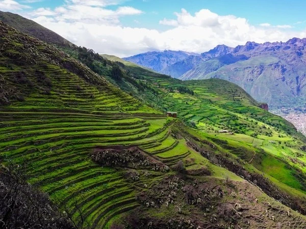 Comunidad de Patabamba