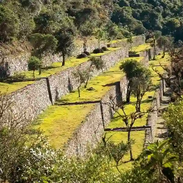 Campamento Choquequiraw