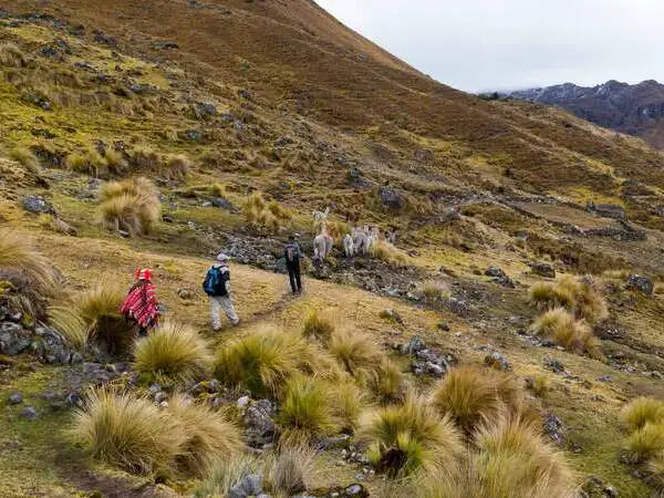 Baños Lares