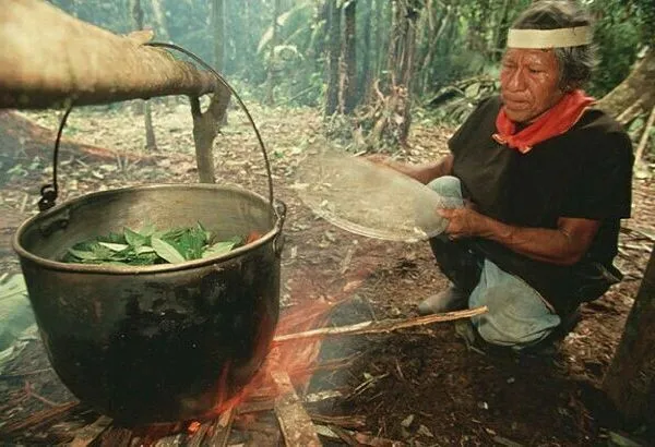 Ayahuasca Chaman