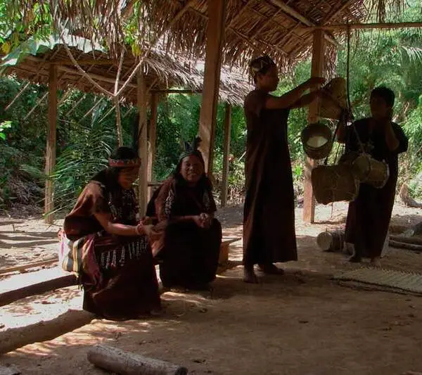 Ayahuasca Chaman