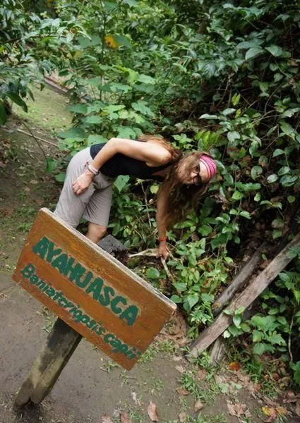 Ayahuasca Chaman