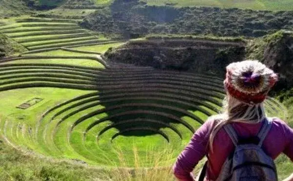 Alpaquitas en Pisaq Valle sagrad