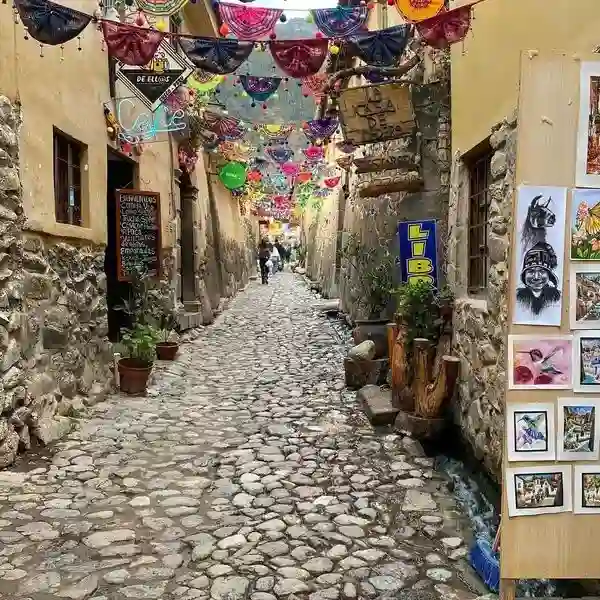 Alpaquitas en Pisaq Valle sagrad