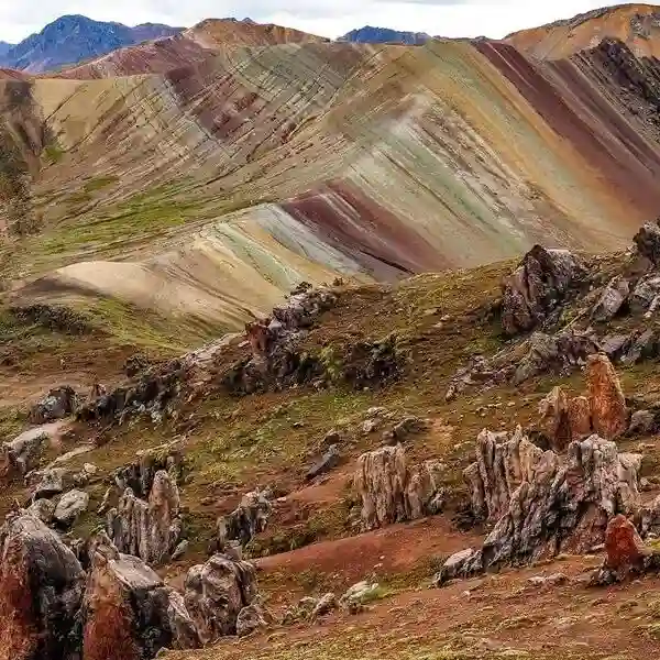 Alpaquitas en Pisaq Valle sagrad