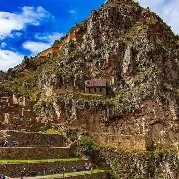 Alpaquitas en Pisaq Valle sagrad