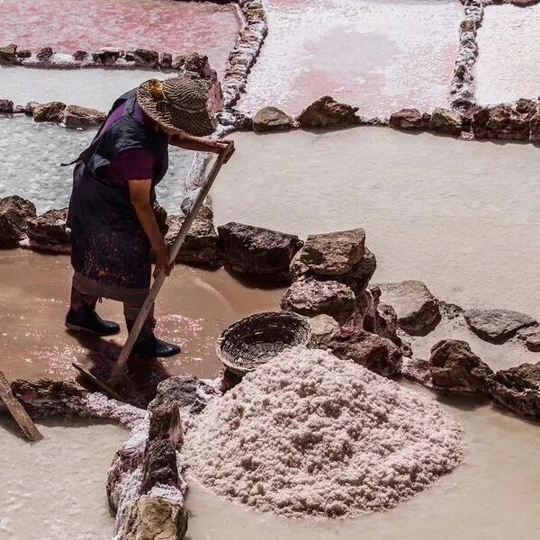Alpaquitas en Pisaq Valle sagrad