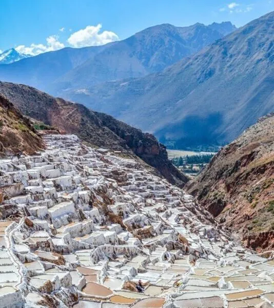 Alpaquitas en Pisaq Valle sagrad