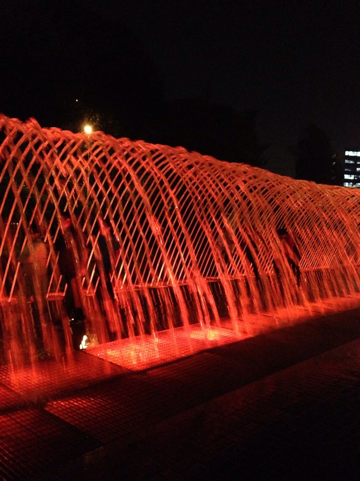 Cena en Lima