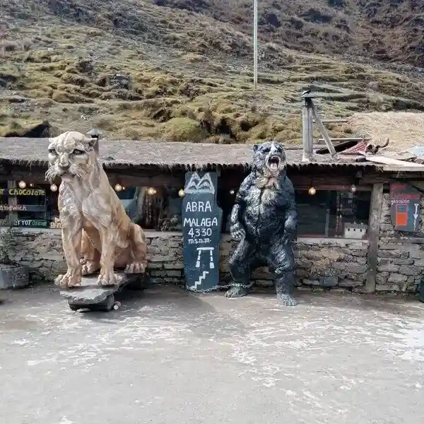 Bananas en Cusco Peru