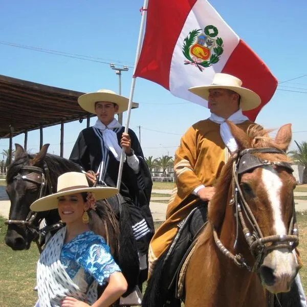 Caballos de Paso Lima