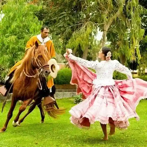 Caballos de Paso Lima