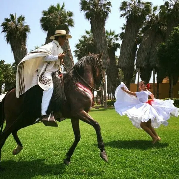 Caballos de Paso Lima