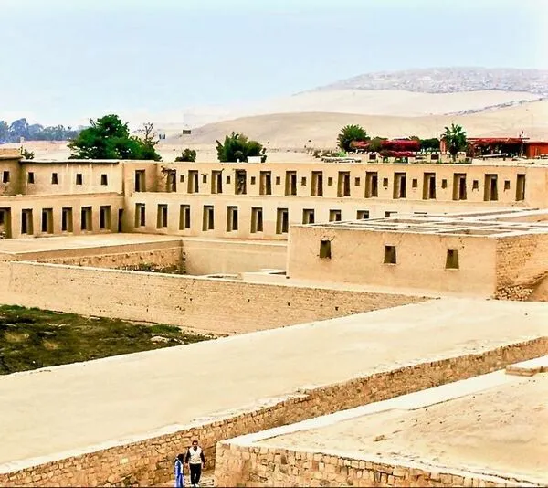 Caballos de Paso Lima