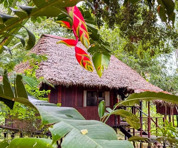 Biosfera del Manu Peru