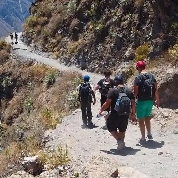 Arequipa Cañon del Colca