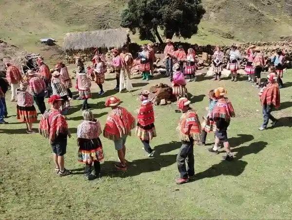 Ceremonia de Alpacas Cusco