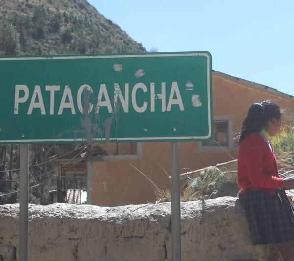 Ceremonia de Alpacas Cusco