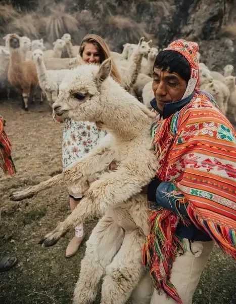 Ceremonia de Alpacas Cusco