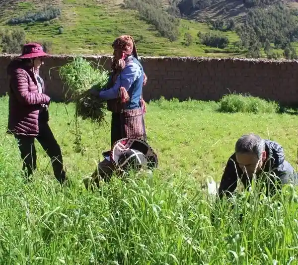 Casa Jose Luis Umasbamba