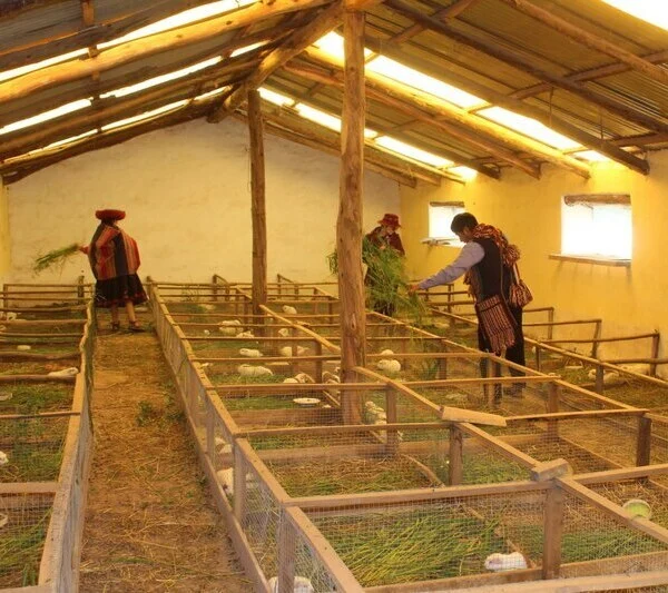 Casa Jose Luis Umasbamba