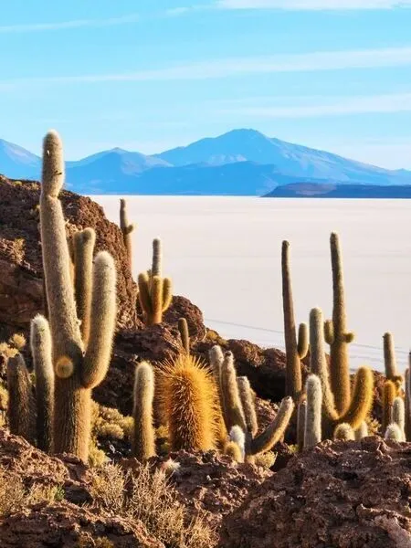 Arequipa Ciudad Blanca